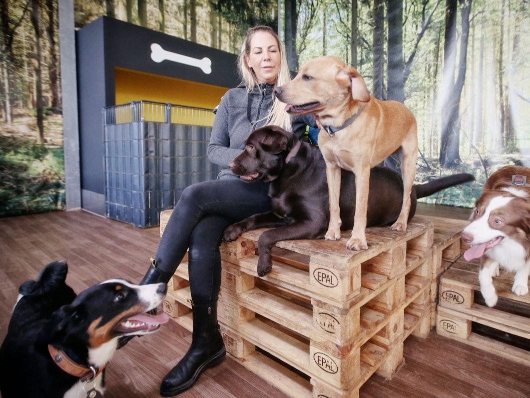 Hundetrainerin Linda Manteuffel sitzt auf einer Holzpalette, um sie herum sind Hunde.
