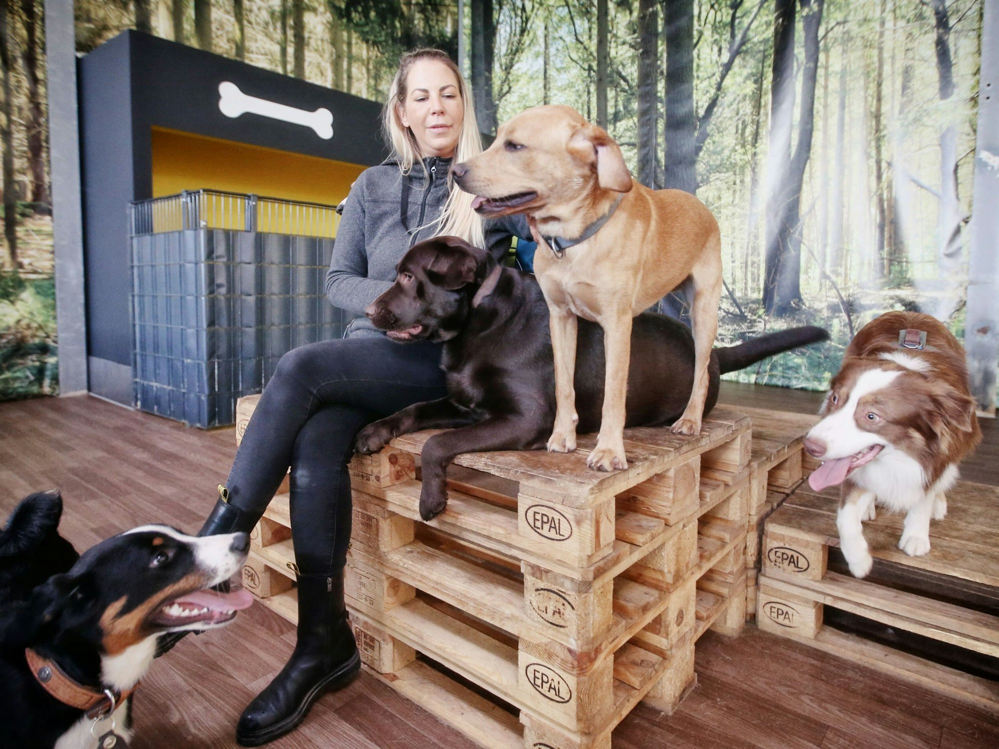 Hundetrainerin Linda Manteuffel sitzt auf einer Holzpalette, um sie herum sind Hunde.