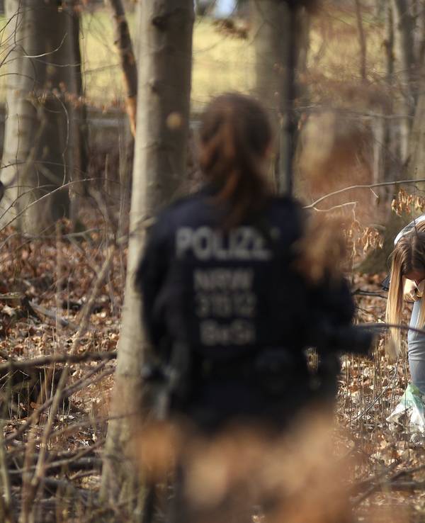 Polizeieinheiten durchsuchen einen Wald.
