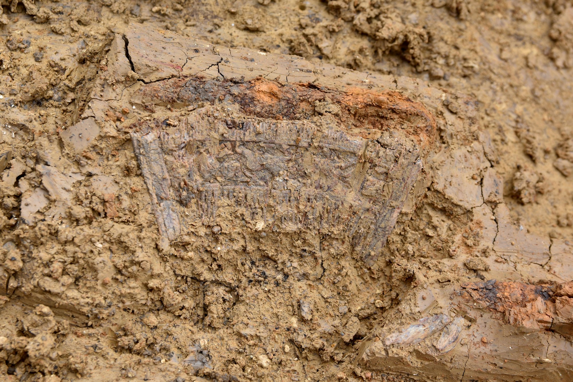 Archäologie in Deutschland: Bei Ausgrabungen in Bayern fanden Forscher 2021 neben dem hier zu sehenden verzierten Elfenbeinkamm auch ein mysteriöses Liebespaar.