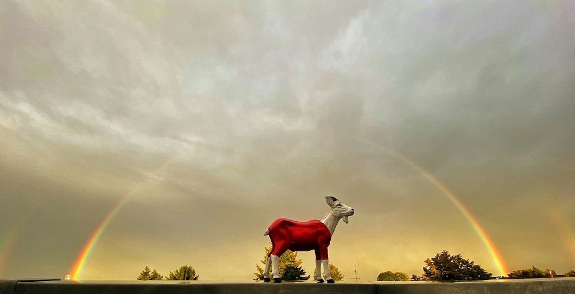 Ein Regenbogen zeigt sich am Himmel, davor eine Figur des FC-Maskottchens Hennes.