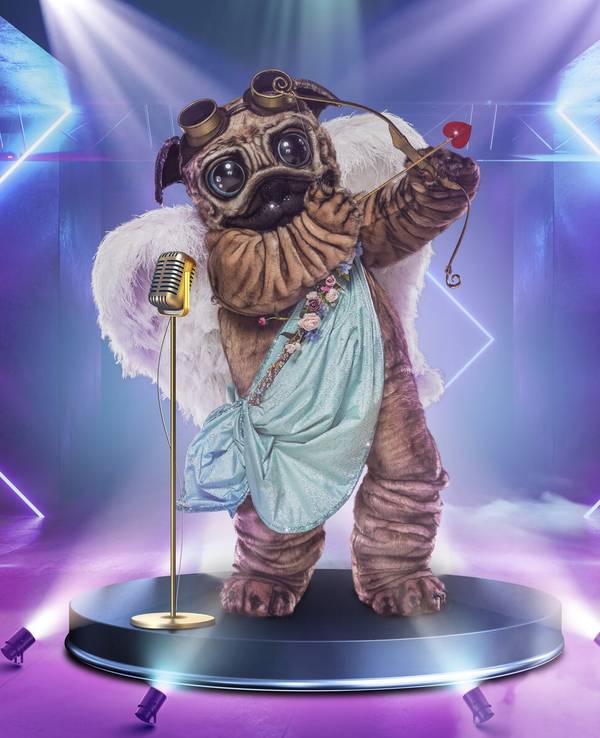 Das Kostüm des Mops von „The Masked Singer“ schlägt bereits jetzt hohe Wellen
