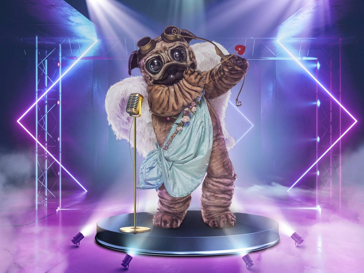 Das Kostüm des Mops von „The Masked Singer“ schlägt bereits jetzt hohe Wellen