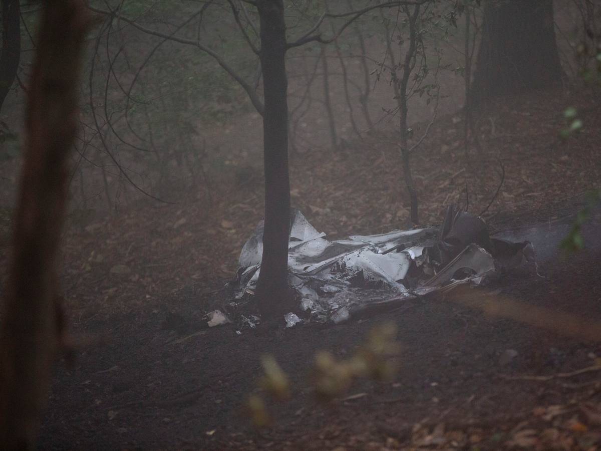 Wrackteile des Flugzeugs liegen im Wald.
