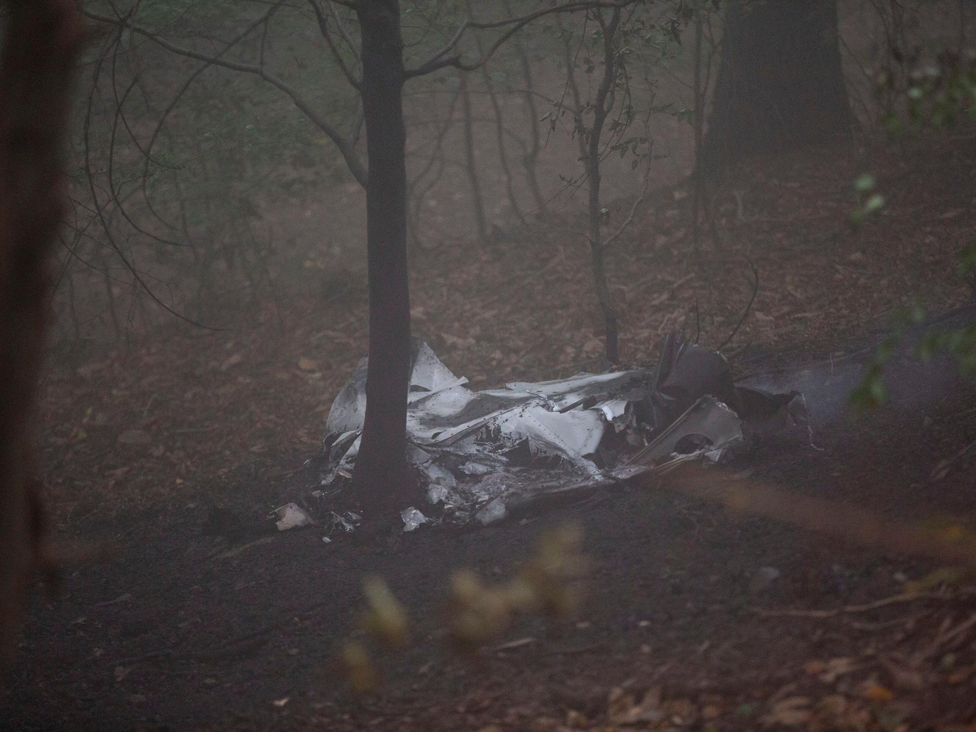 Wrackteile des Flugzeugs liegen im Wald.
