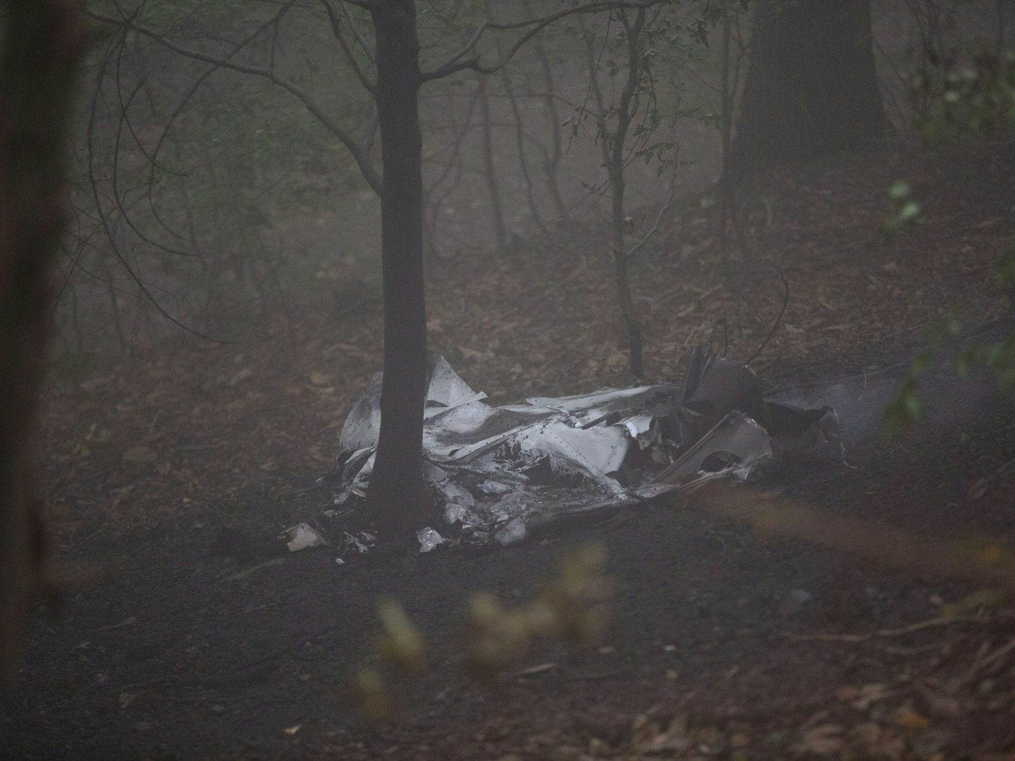 Wrackteile des Flugzeugs liegen im Wald.