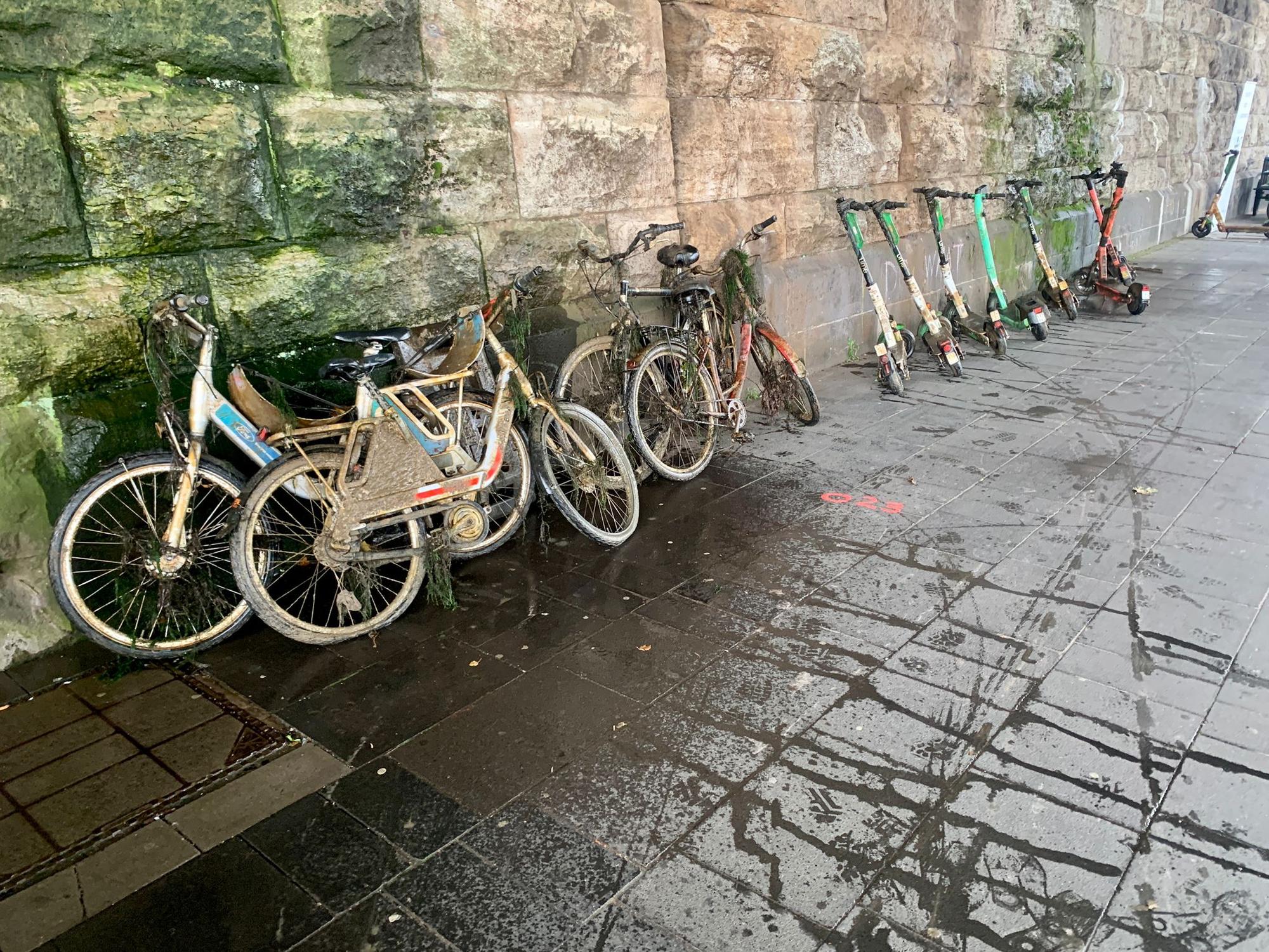 Vier Fahrräder und neun E-Scooter wurden bei einer Bergungsaktion des KRAKE e.V. und PMS aus dem Rhein geborgen.