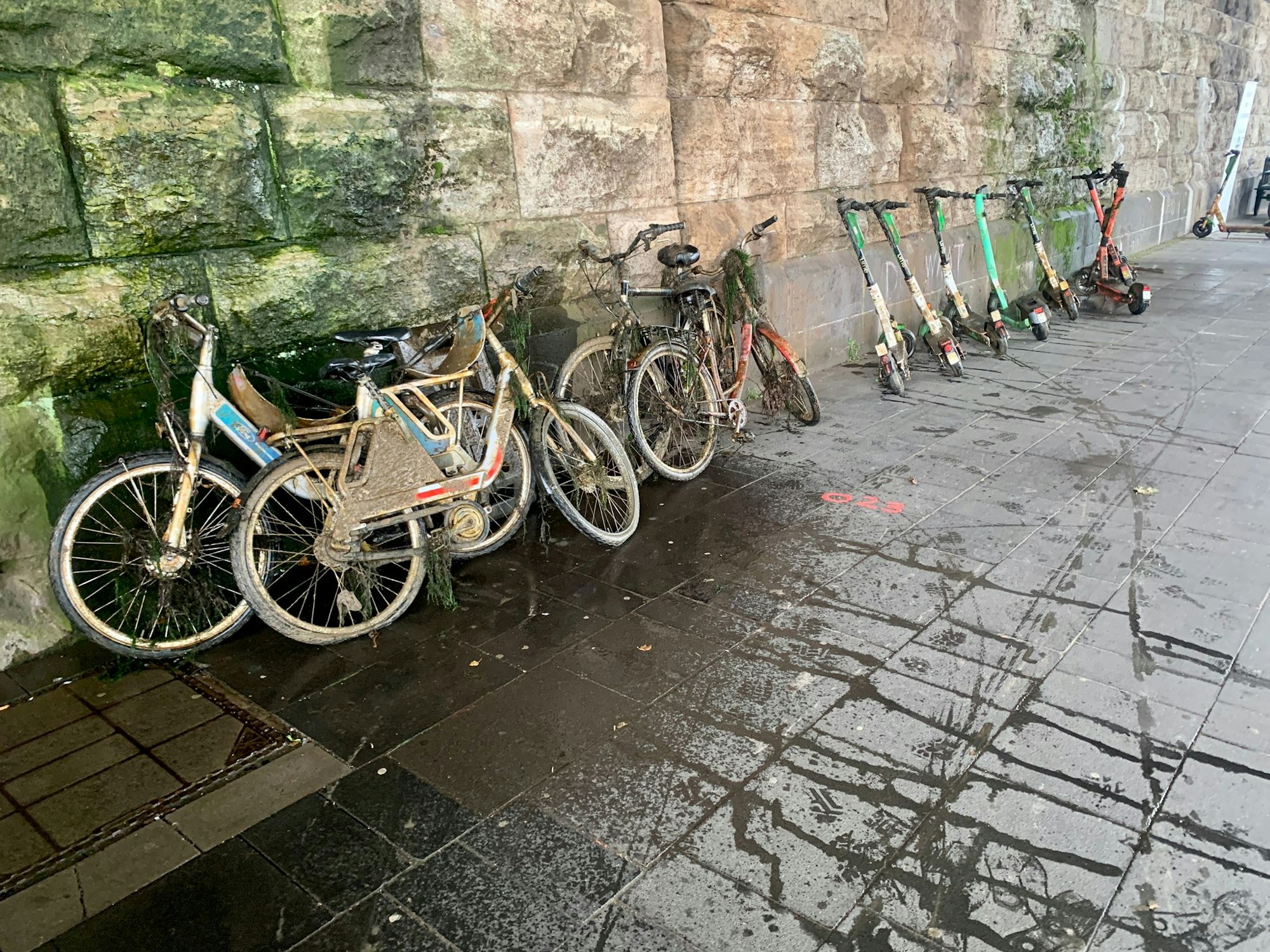 Vier Fahrräder und neun E-Scooter wurden bei einer Bergungsaktion des KRAKE e.V. und PMS aus dem Rhein geborgen.