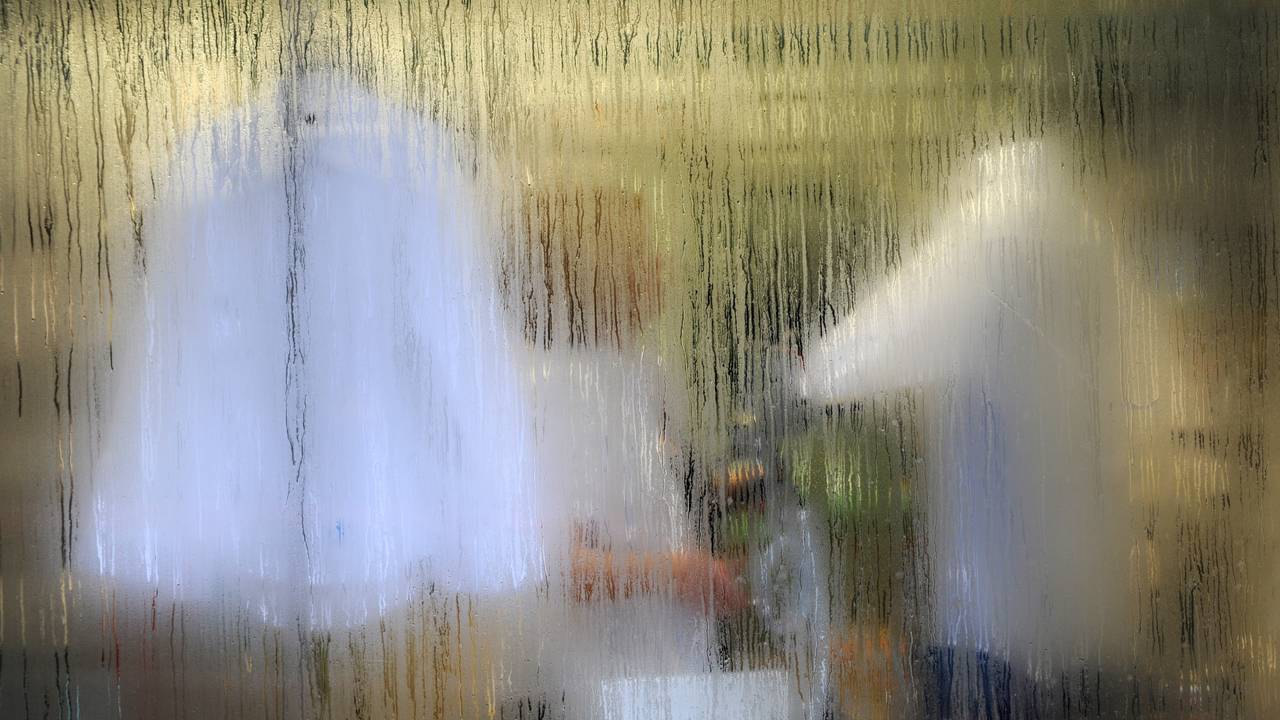 Fenster von außen beschlagen: Unser Bild zeigt Kondenswasser auf einer Fensterscheibe.