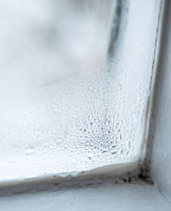 Fenster von innen beschlagen: Auf unserem Bild sieht man Kondenswasser, das sich an der Fensterscheibe bildet.