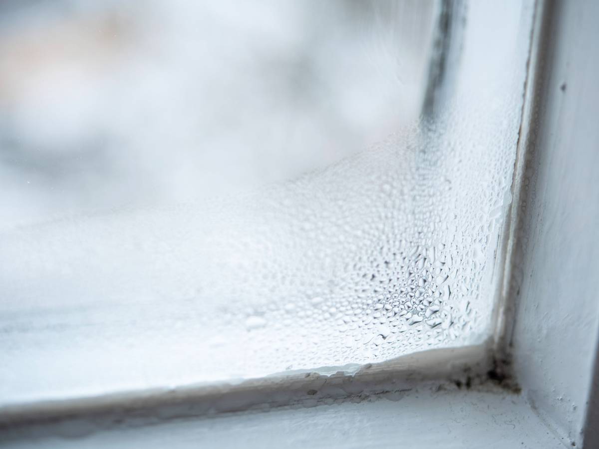 Fenster von innen beschlagen: Auf unserem Bild sieht man Kondenswasser, das sich an der Fensterscheibe bildet.