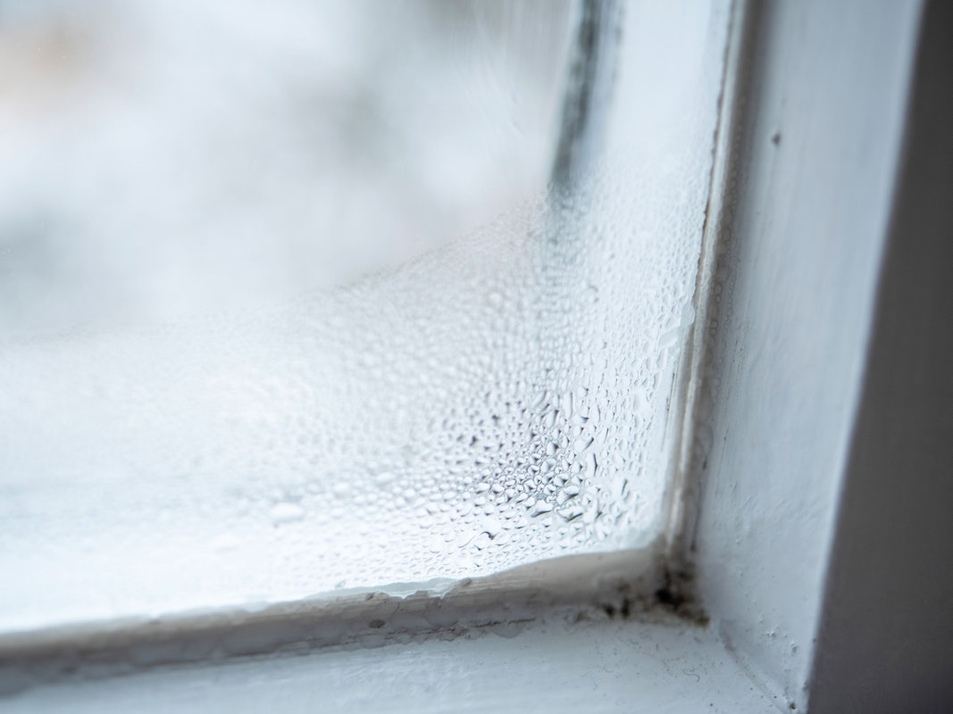 Fenster von innen beschlagen: Auf unserem Bild sieht man Kondenswasser, das sich an der Fensterscheibe bildet.