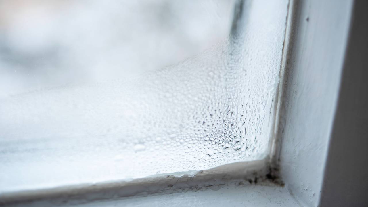 Fenster von innen beschlagen: Auf unserem Bild sieht man Kondenswasser, das sich an der Fensterscheibe bildet.