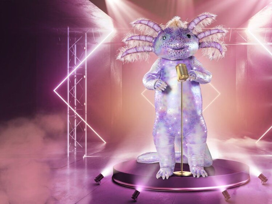 Das Axolotl hat es mit seinem Auftritt in der dritten Folge von „The Masked Singer“ am 30. Oktober 2021 in die nächste Runde geschafft. Doch es bleibt die Frage: Wer steckt unter dem Amphibien-Kostüm?