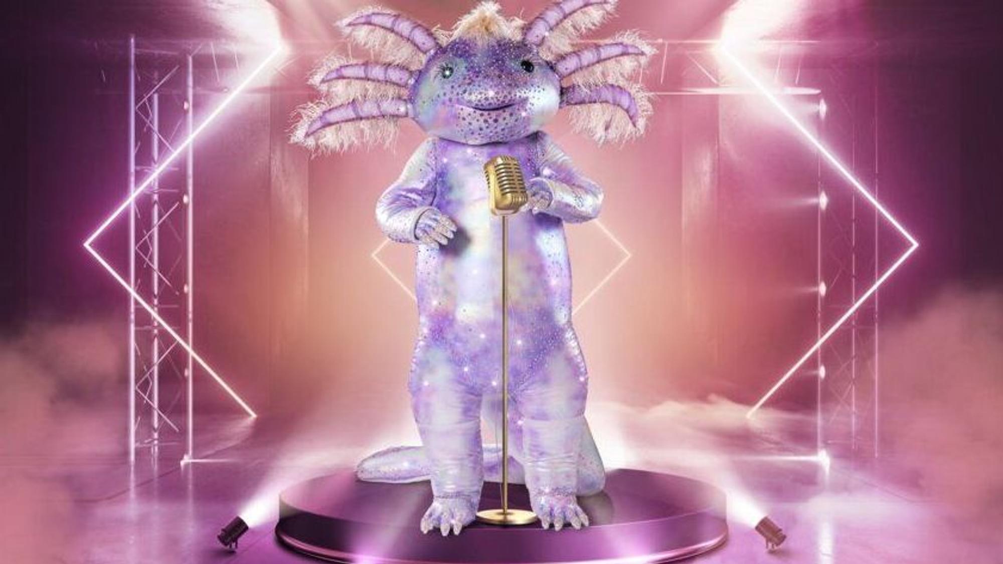 Das Axolotl hat es mit seinem Auftritt in der dritten Folge von „The Masked Singer“ am 30. Oktober 2021 in die nächste Runde geschafft. Doch es bleibt die Frage: Wer steckt unter dem Amphibien-Kostüm?