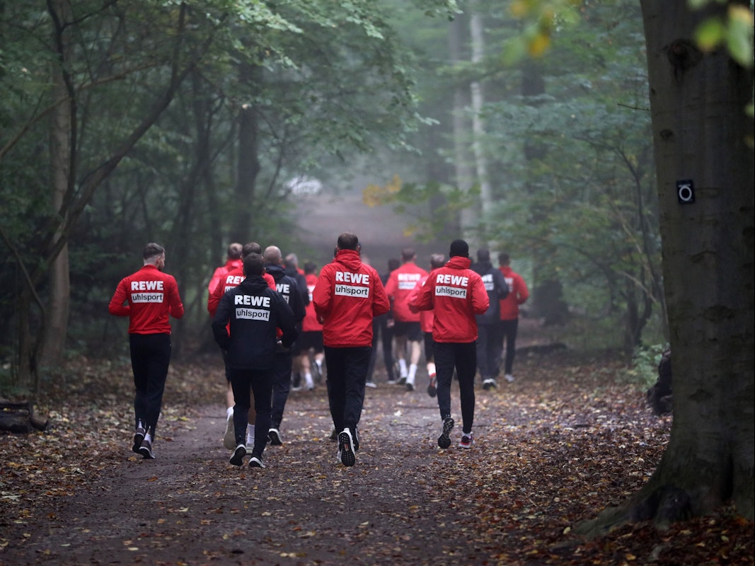Der 1. FC Köln läuft durch den Grüngürtel.