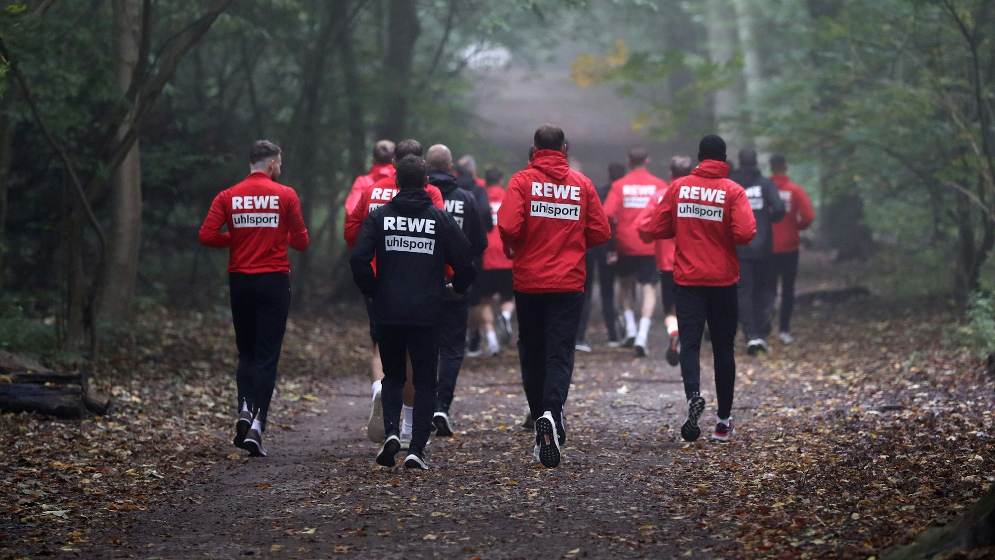 Der 1. FC Köln läuft durch den Grüngürtel.
