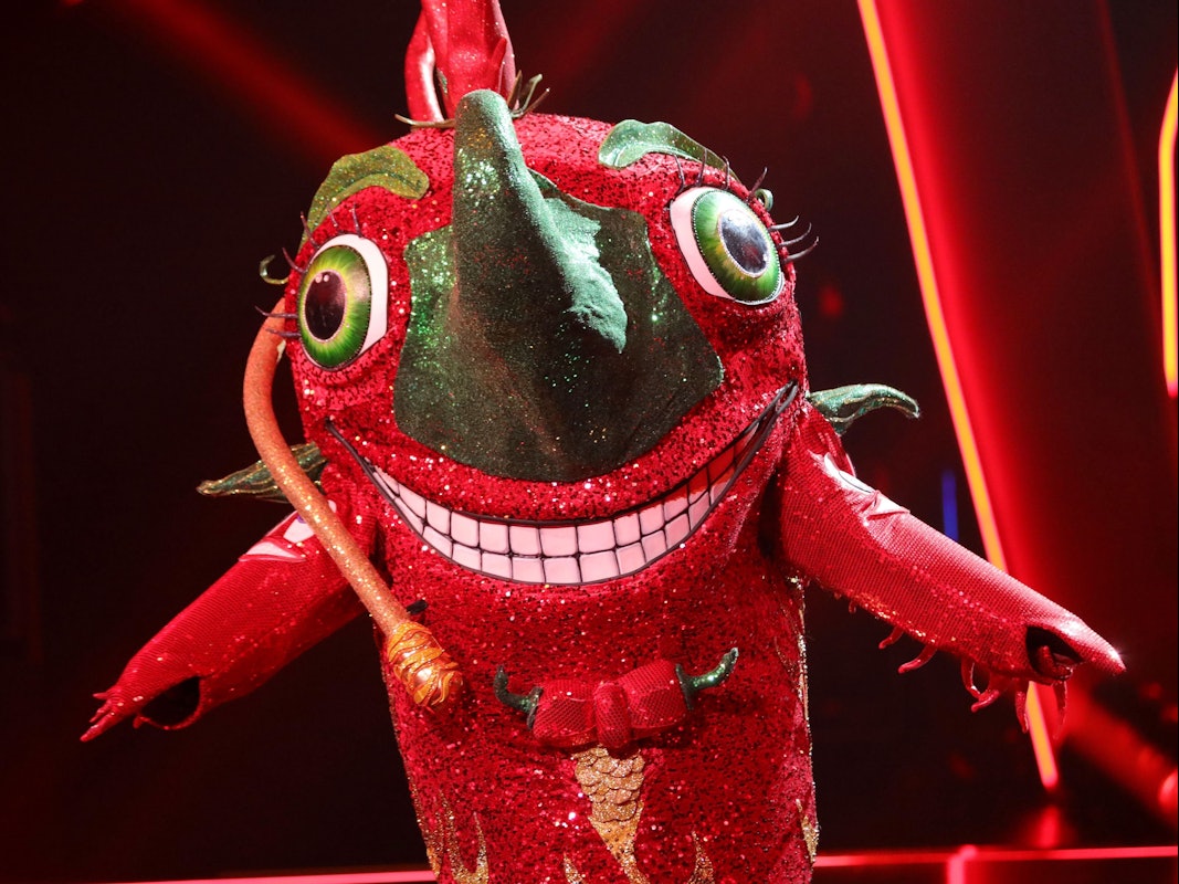 Als erstes Kostüm wurde die Chili bei „The Masked Singer“ 2021 enttarnt.