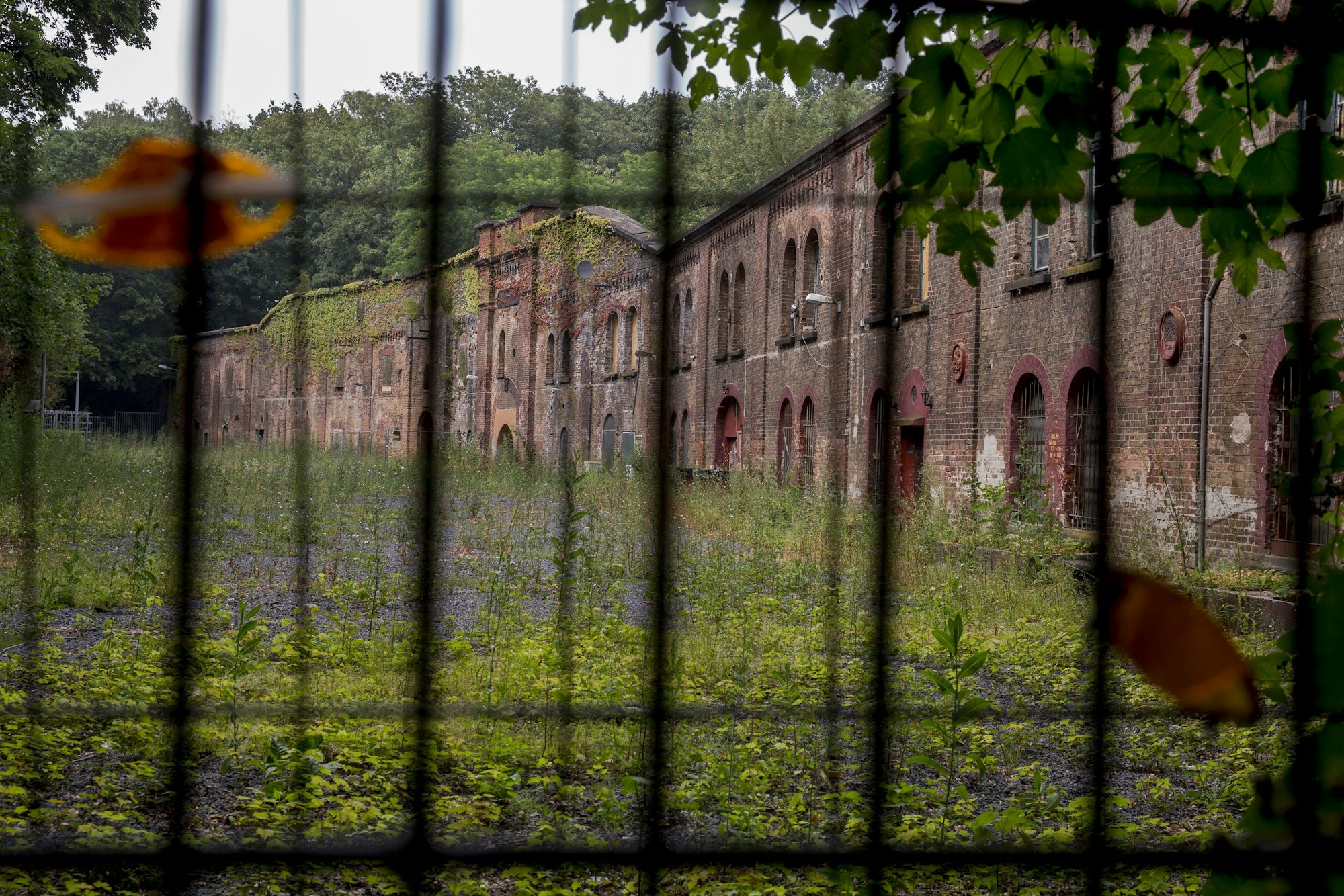 Serie "Rechtsrheinischer Grüngürtel".
Das Fort XI in Holweide.
Köln
17.07.2019
copyright by Michael Bause