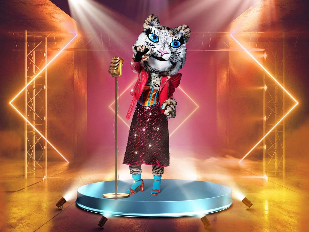 In der fünften Staffel von "The Masked Singer" gibt es zum ersten Mal eine elfte Maske: DER TIGER tritt exklusiv und ausschließlich in der Online-Show "The Masked Singer Ehrmann Tiger" an