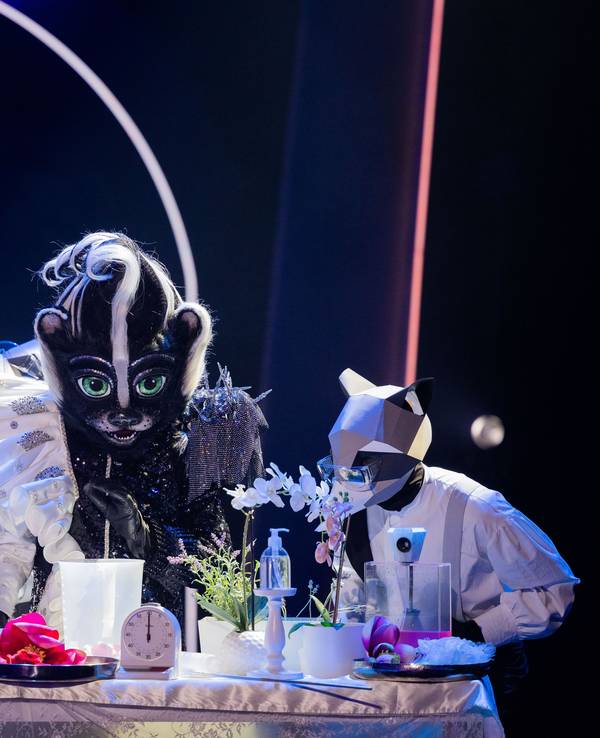 Das Stinktier hat bei seinem ersten Auftritt bei „The Masked Singer“ am Samstag (16. Oktober) eine erste Duftmarke gesetzt.