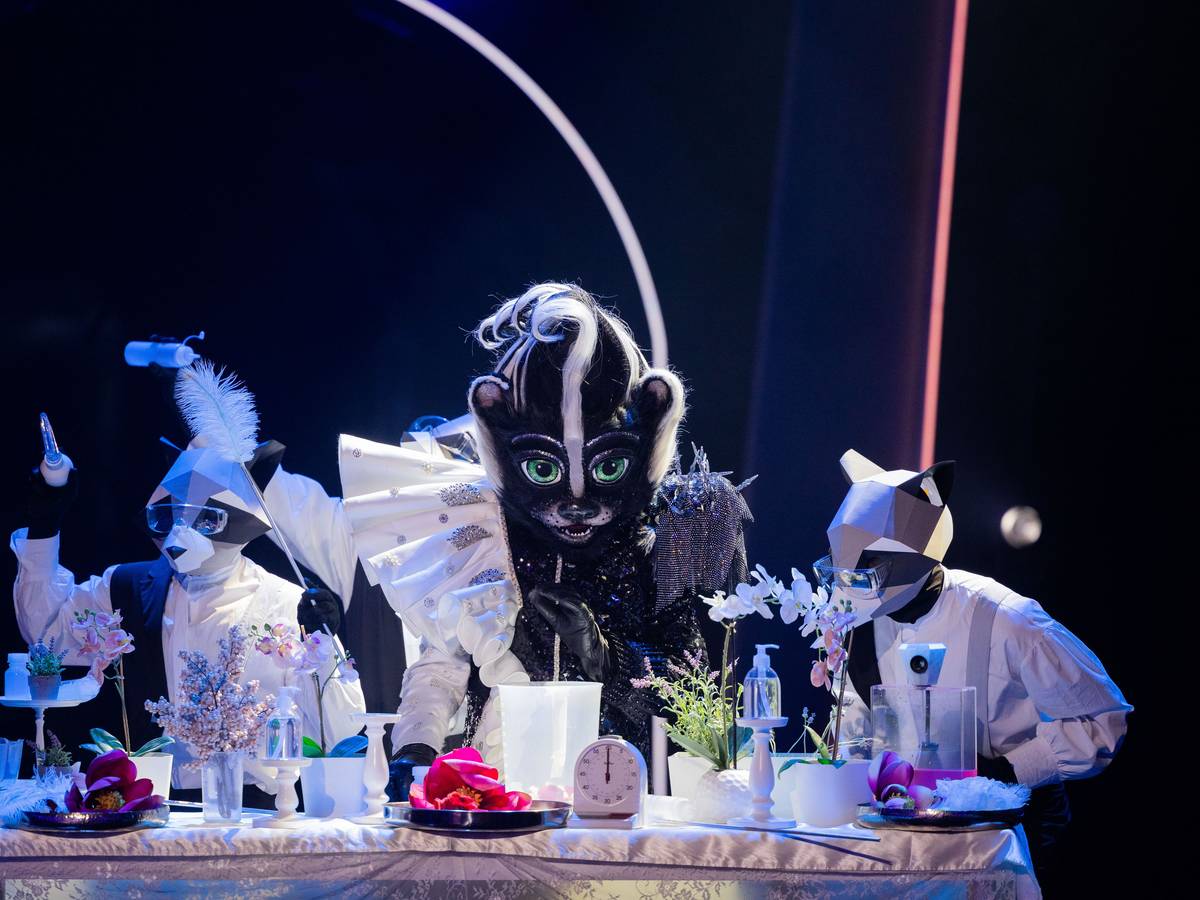 Das Stinktier hat bei seinem ersten Auftritt bei „The Masked Singer“ am Samstag (16. Oktober) eine erste Duftmarke gesetzt.