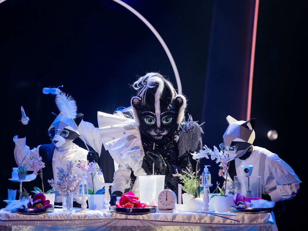 Das Stinktier hat bei seinem ersten Auftritt bei „The Masked Singer“ am Samstag (16. Oktober) eine erste Duftmarke gesetzt.