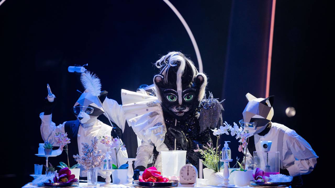 Das Stinktier hat bei seinem ersten Auftritt bei „The Masked Singer“ am Samstag (16. Oktober) eine erste Duftmarke gesetzt.