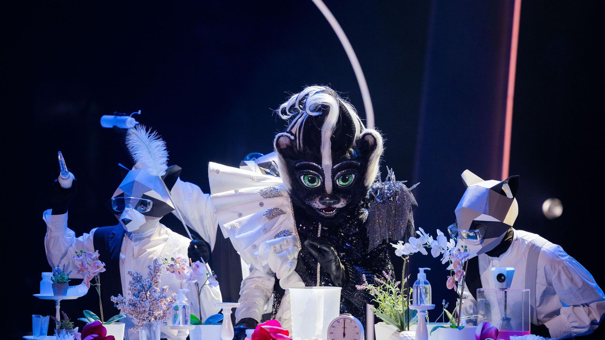 Das Stinktier hat bei seinem ersten Auftritt bei „The Masked Singer“ am Samstag (16. Oktober) eine erste Duftmarke gesetzt.