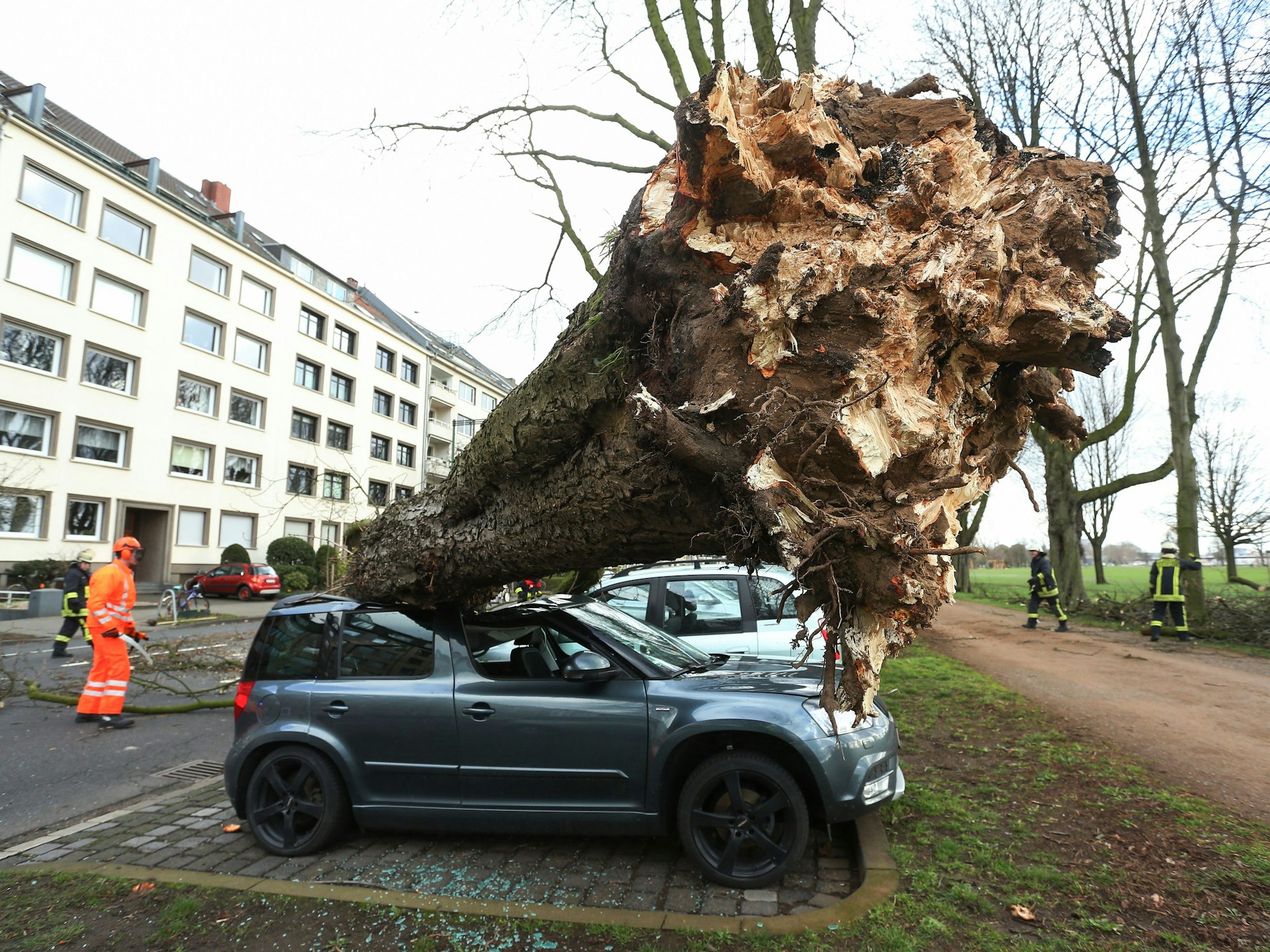 Ein umgekippter Baum liegt auf drei Autos auf der Düsseldorfer Cecillienallee.