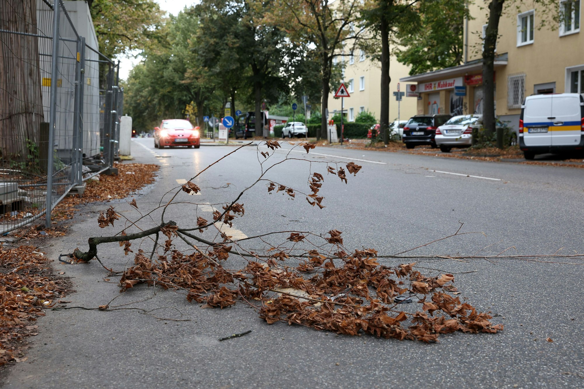 Köln:
Herftiger Sturm fegt über Köln
Ein Ast liegt auf der Widdersdorfer Str. in Ehrenfeld
Foto: Martina Goyert