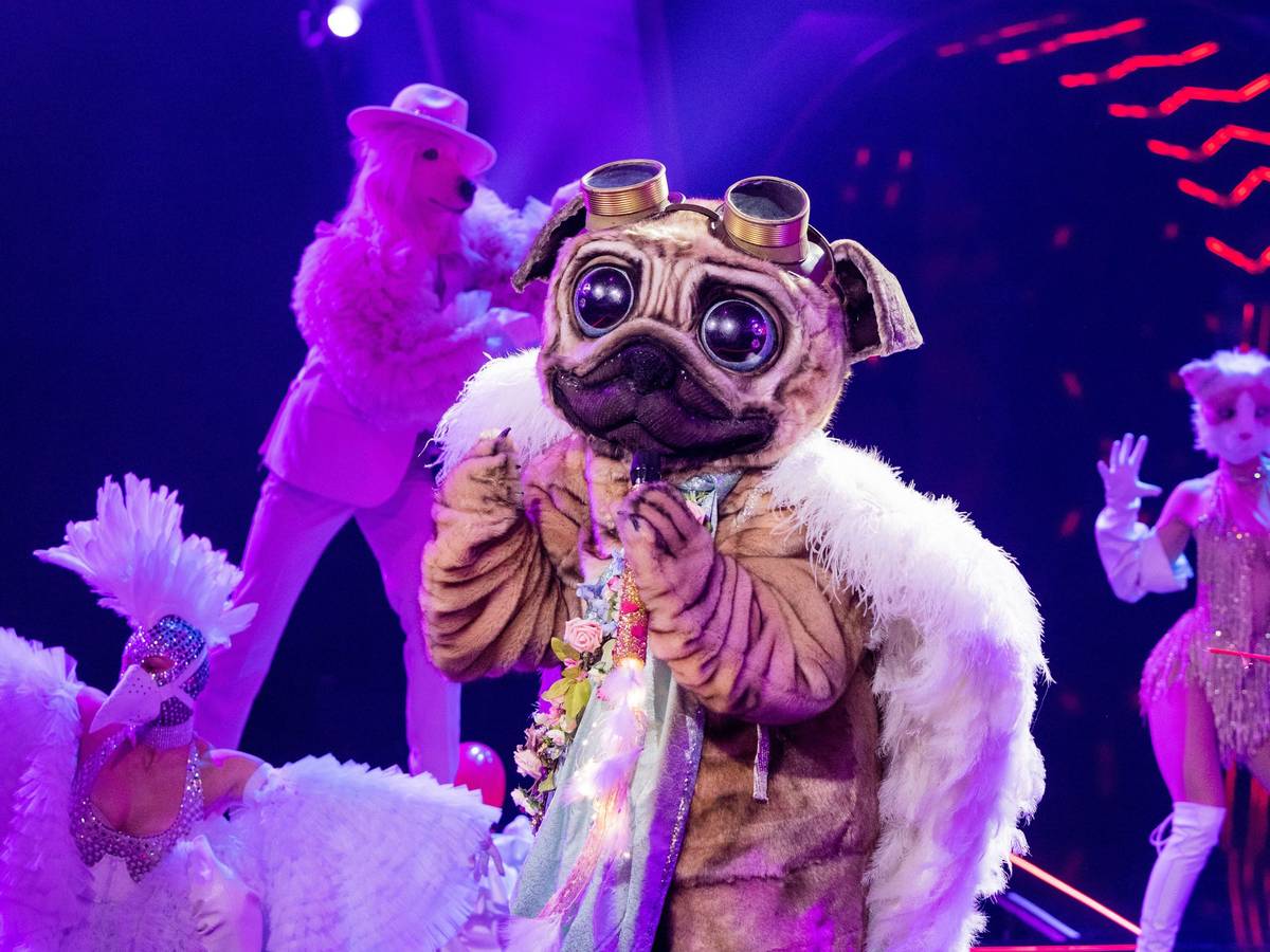 Der Mops hat mit seinem ersten Auftritt bei „The Masked Singer“ die Zuschauer und das Rate-Team begeistert. Doch wer steckt unter dem süßen Kostüm?