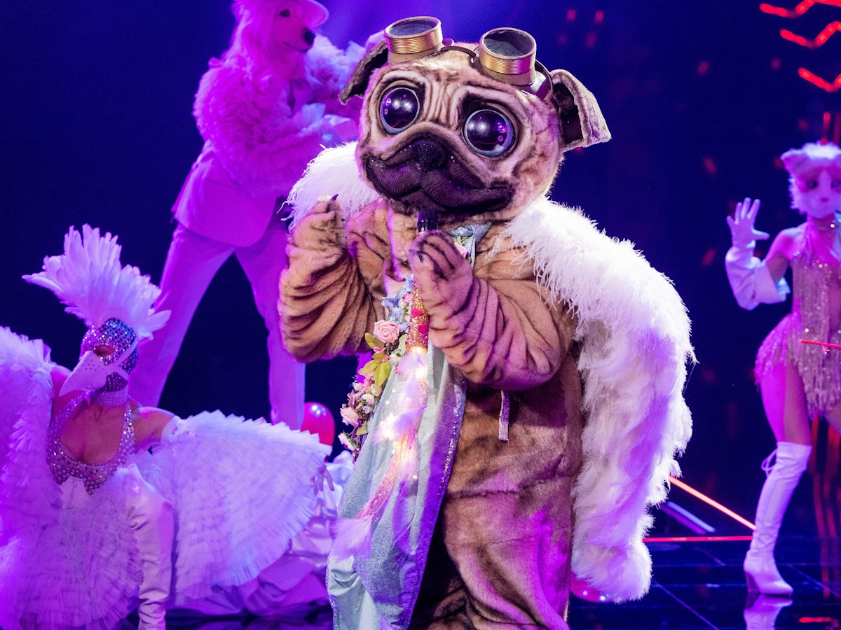 Der Mops hat mit seinem ersten Auftritt bei „The Masked Singer“ die Zuschauer und das Rate-Team begeistert. Doch wer steckt unter dem süßen Kostüm?