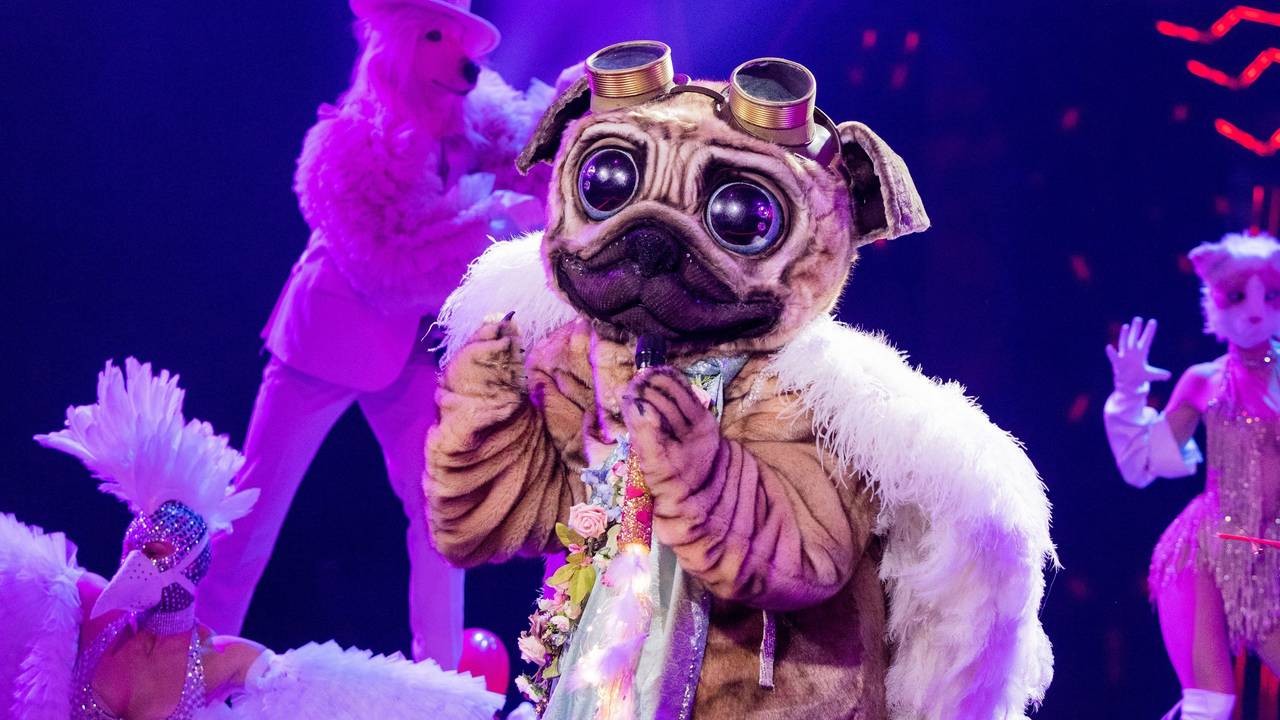 Der Mops hat mit seinem ersten Auftritt bei „The Masked Singer“ die Zuschauer und das Rate-Team begeistert. Doch wer steckt unter dem süßen Kostüm?