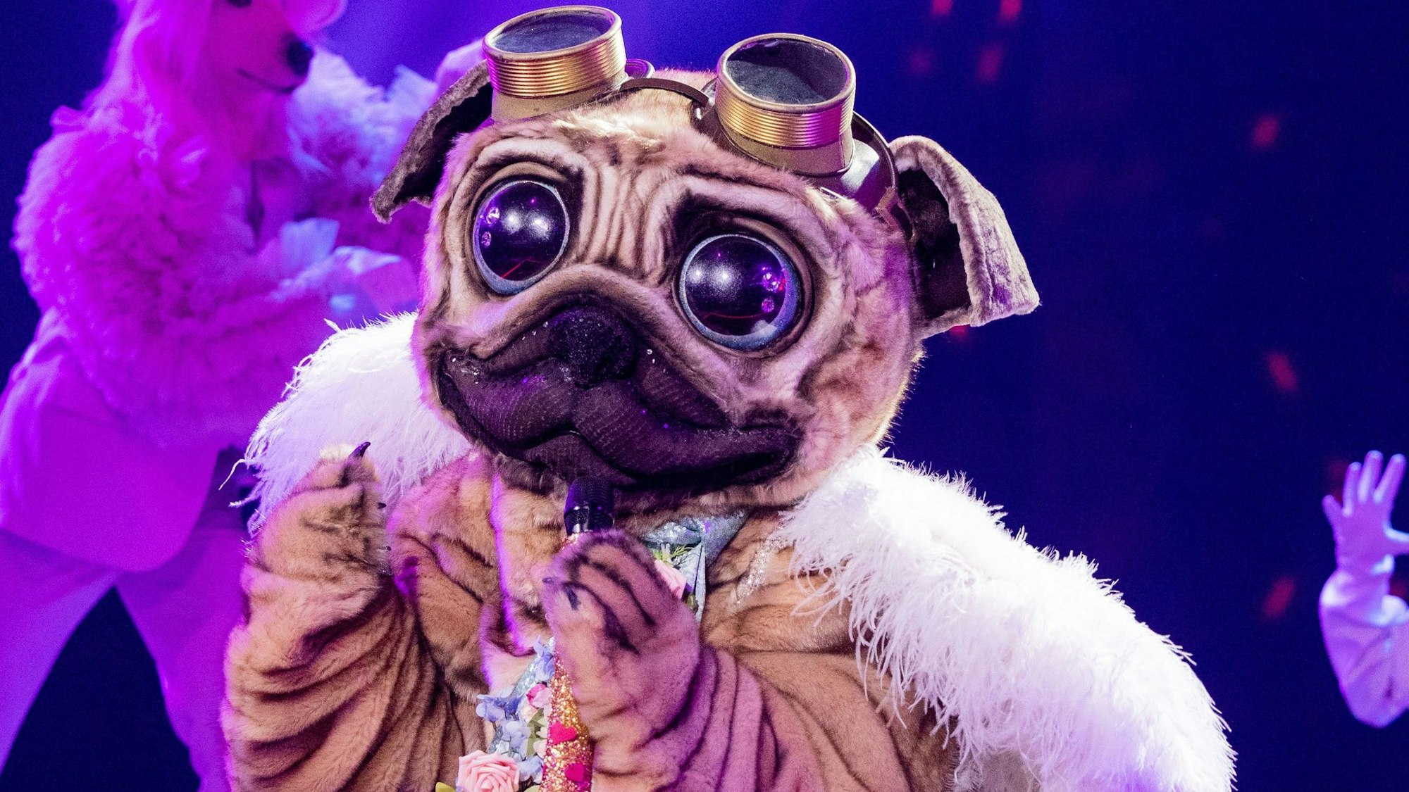 Der Mops hat mit seinem ersten Auftritt bei „The Masked Singer“ die Zuschauer und das Rate-Team begeistert. Doch wer steckt unter dem süßen Kostüm?