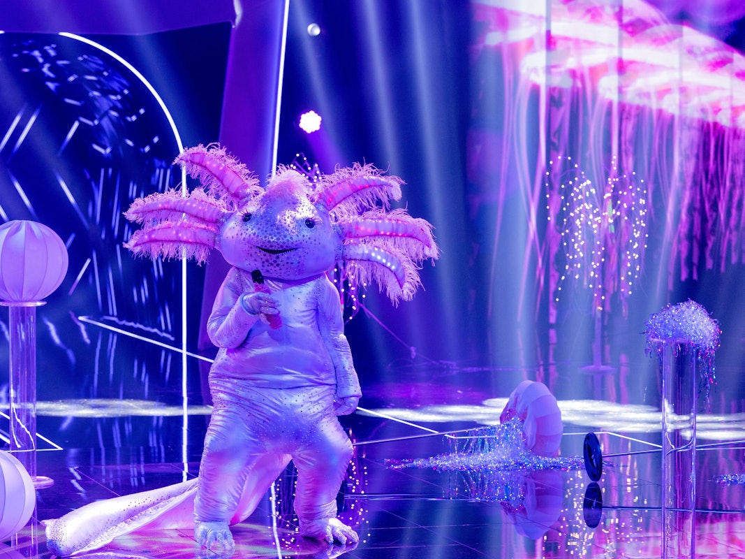 Das Axolotl performt am Samstag (16. Oktober 2021) auf der „The Masked Singer“-Bühne.