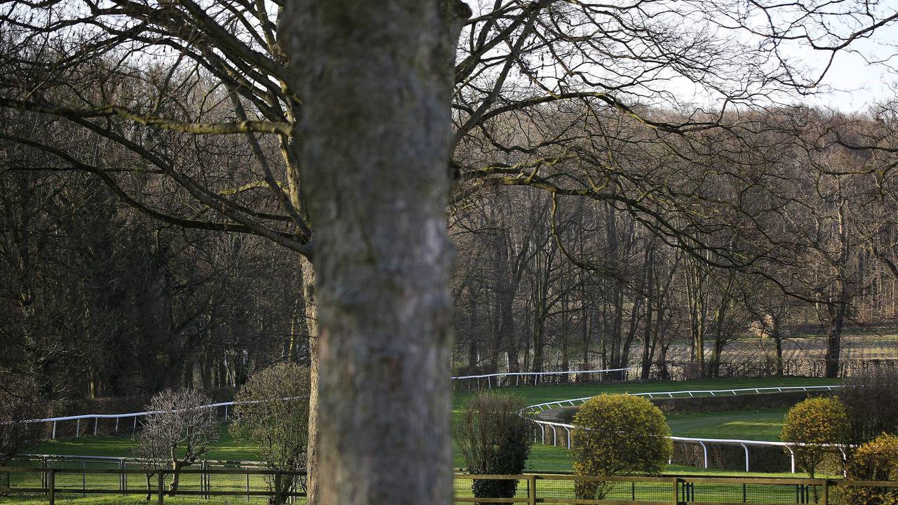 Malerisch: Galopprennbahn im Grafenberger Wald in Düsseldorf