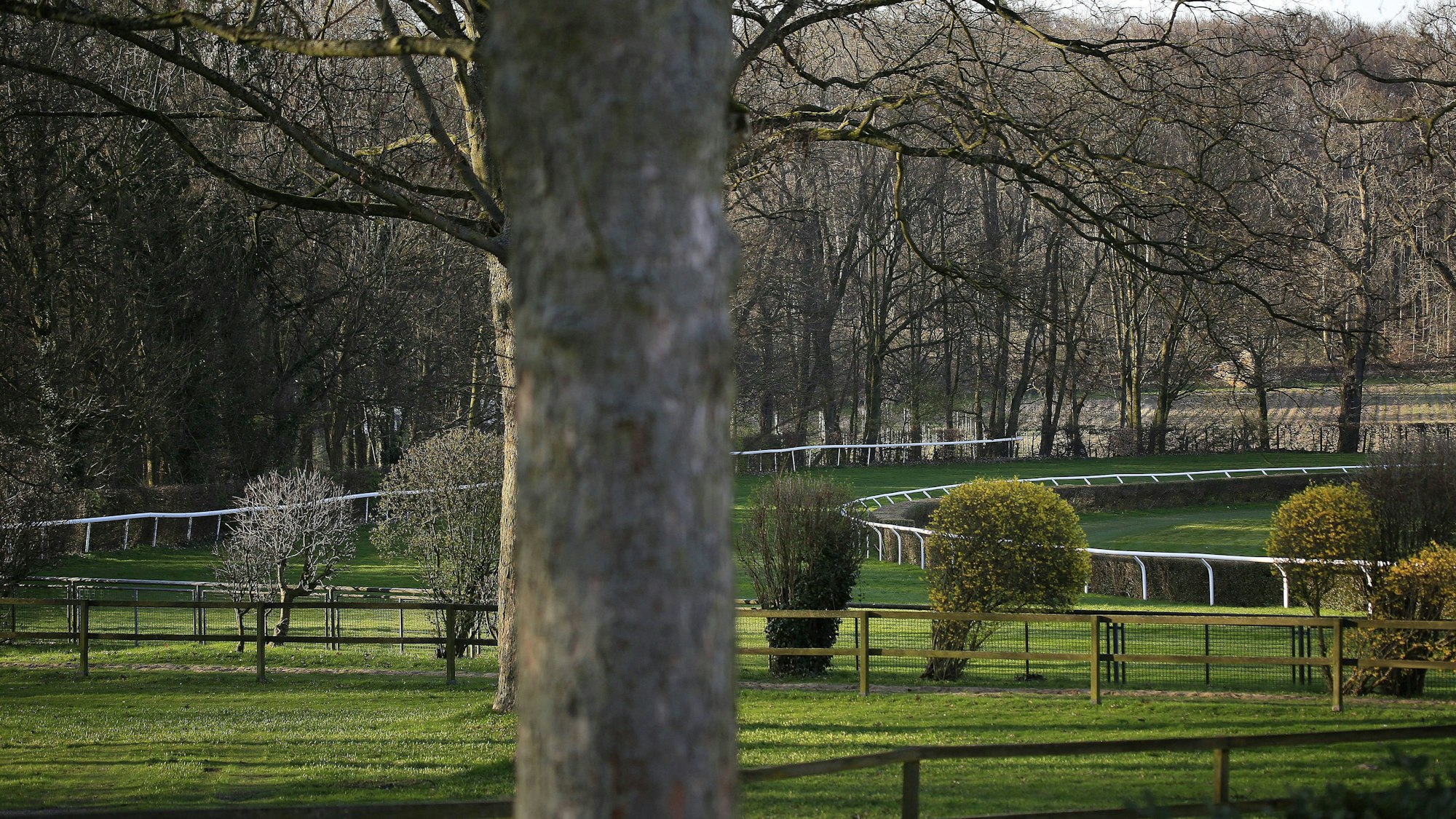 Malerisch: Galopprennbahn im Grafenberger Wald in Düsseldorf