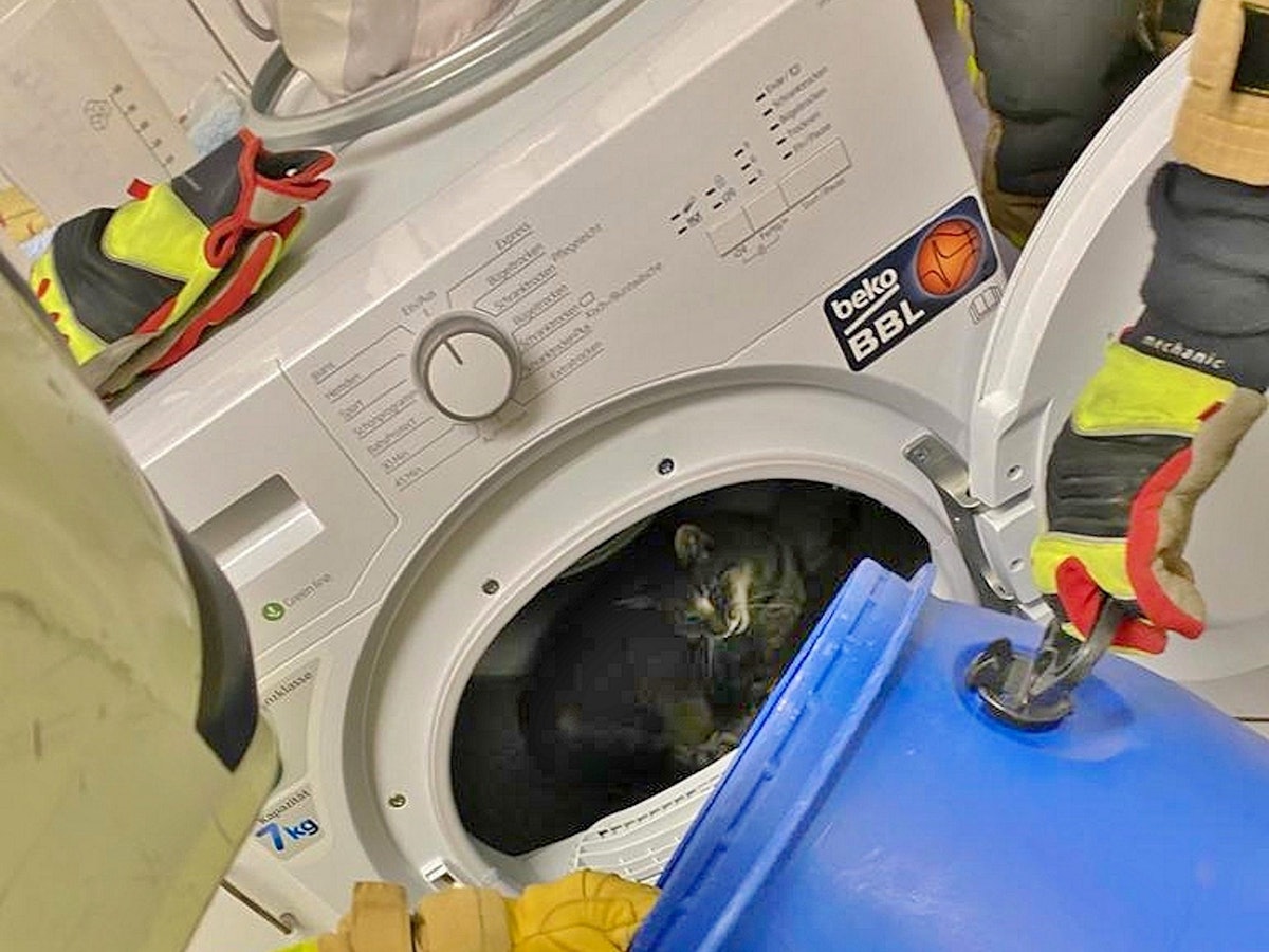 Das Foto der Feuerwehr Grevenbroich von 21. Oktober 2021 zeigt eine Katze in der Trommel eines Wäschetrockners.