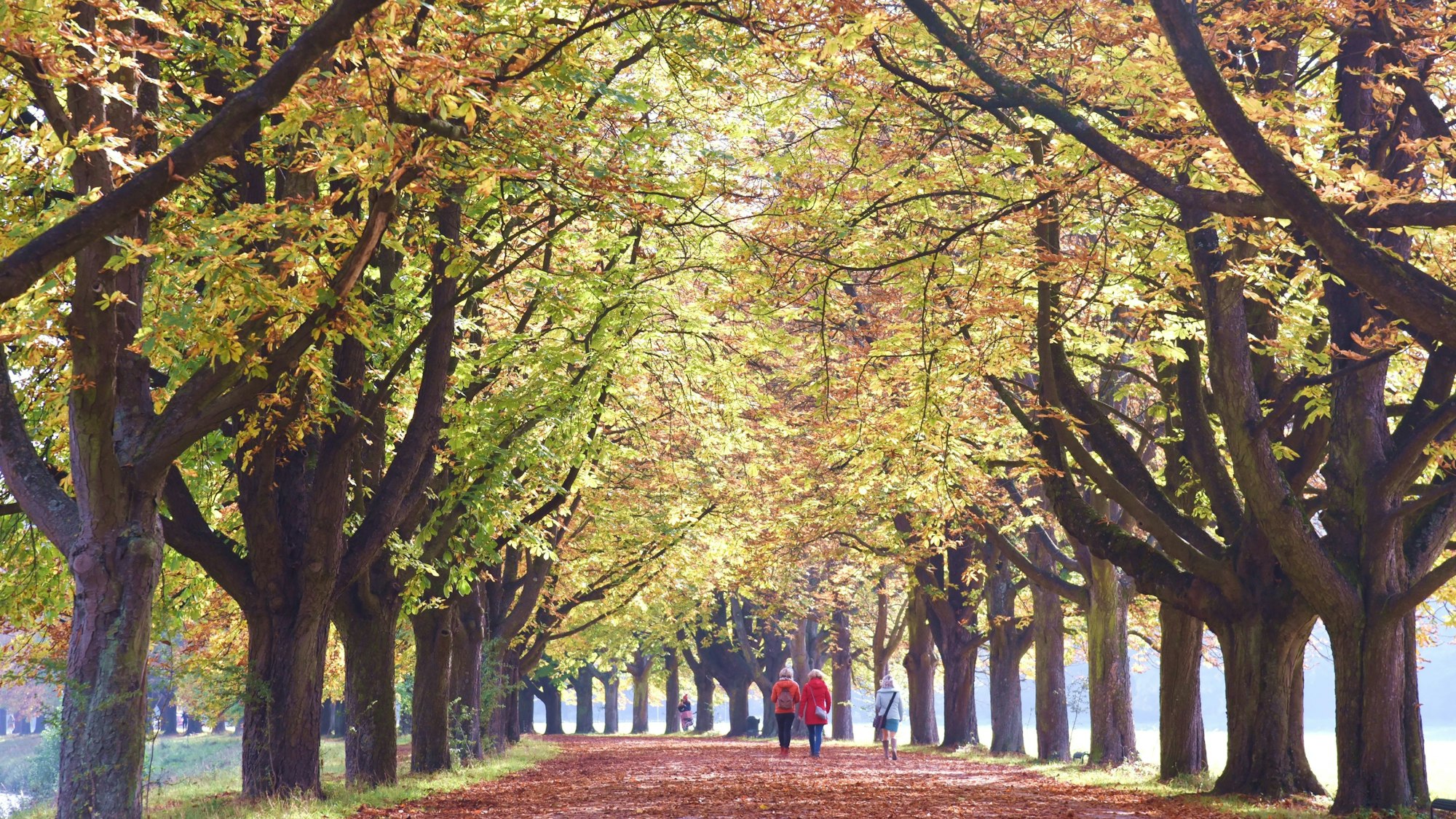 Spaziergängerinnen genießen am 18. Oktober 2021 das goldene Herbstlicht am Decksteiner Weiher in Köln.