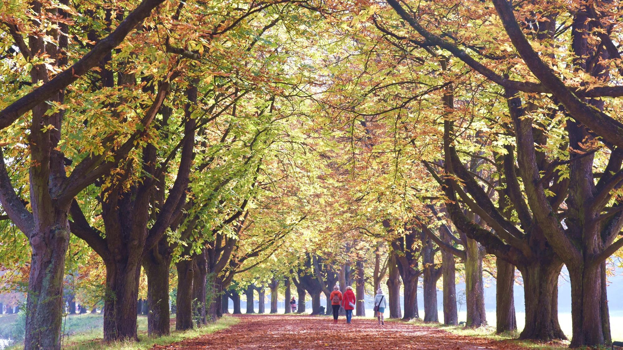Spaziergängerinnen genießen am 18. Oktober 2021 das goldene Herbstlicht am Decksteiner Weiher in Köln.