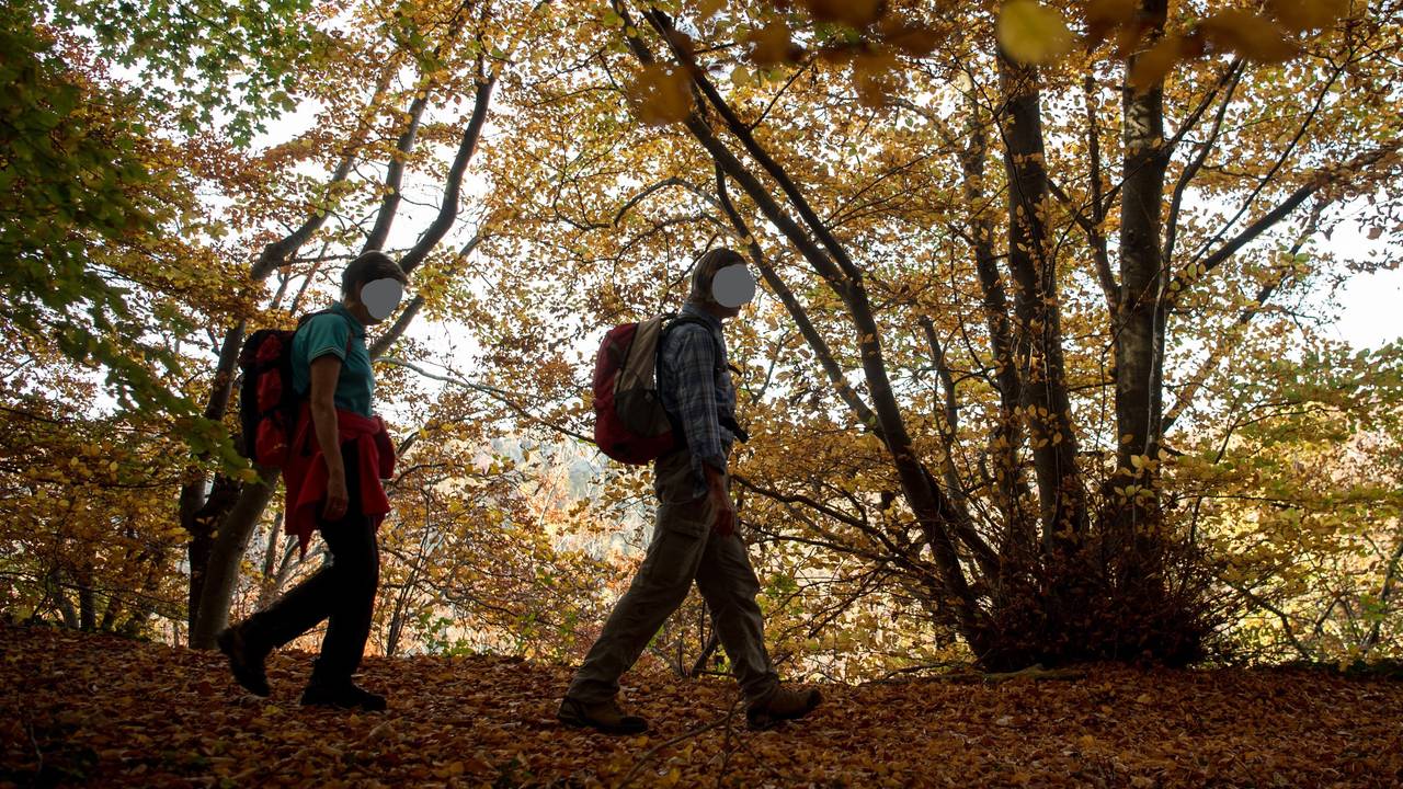 Eigentlich wollten sie nur im Urlaub Wandern – doch dann endete der Trip in NRW tödlich: Ein Mann stürzte am 23. Oktober 2021 40 Meter in die Tiefe. Seine Frau erlitt einen Schock. Unser Symbolbild zeigt ein Wanderer-Paar im Herbst 2017 in Baden-Württemberg.