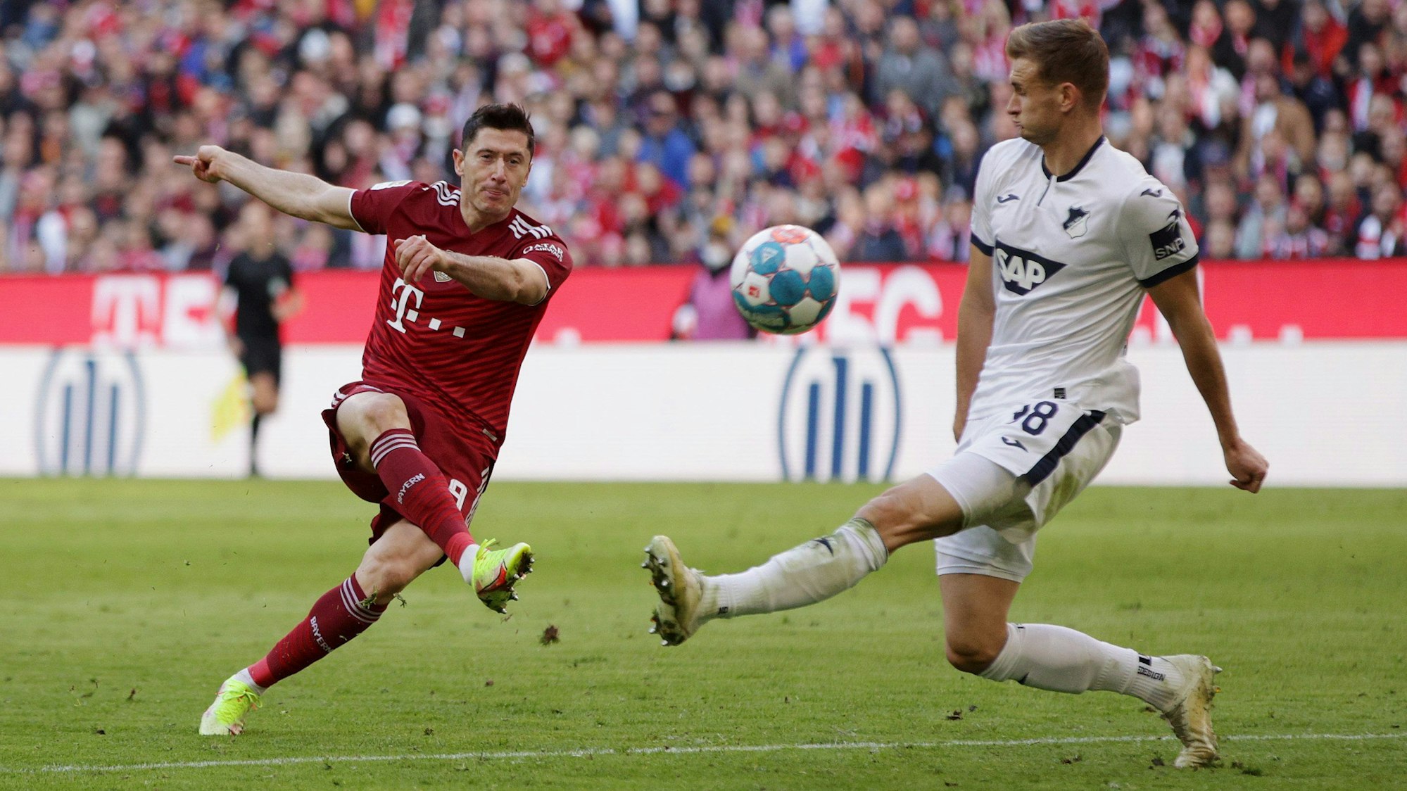Robert Lewandowski vom FC Bayern München trifft gegen Hoffenheim.