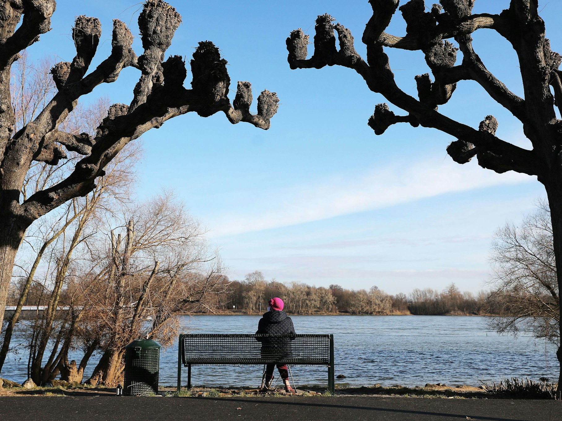Eine Frau sitzt zwischen Platanen am Rheinufer in der Sonne.
