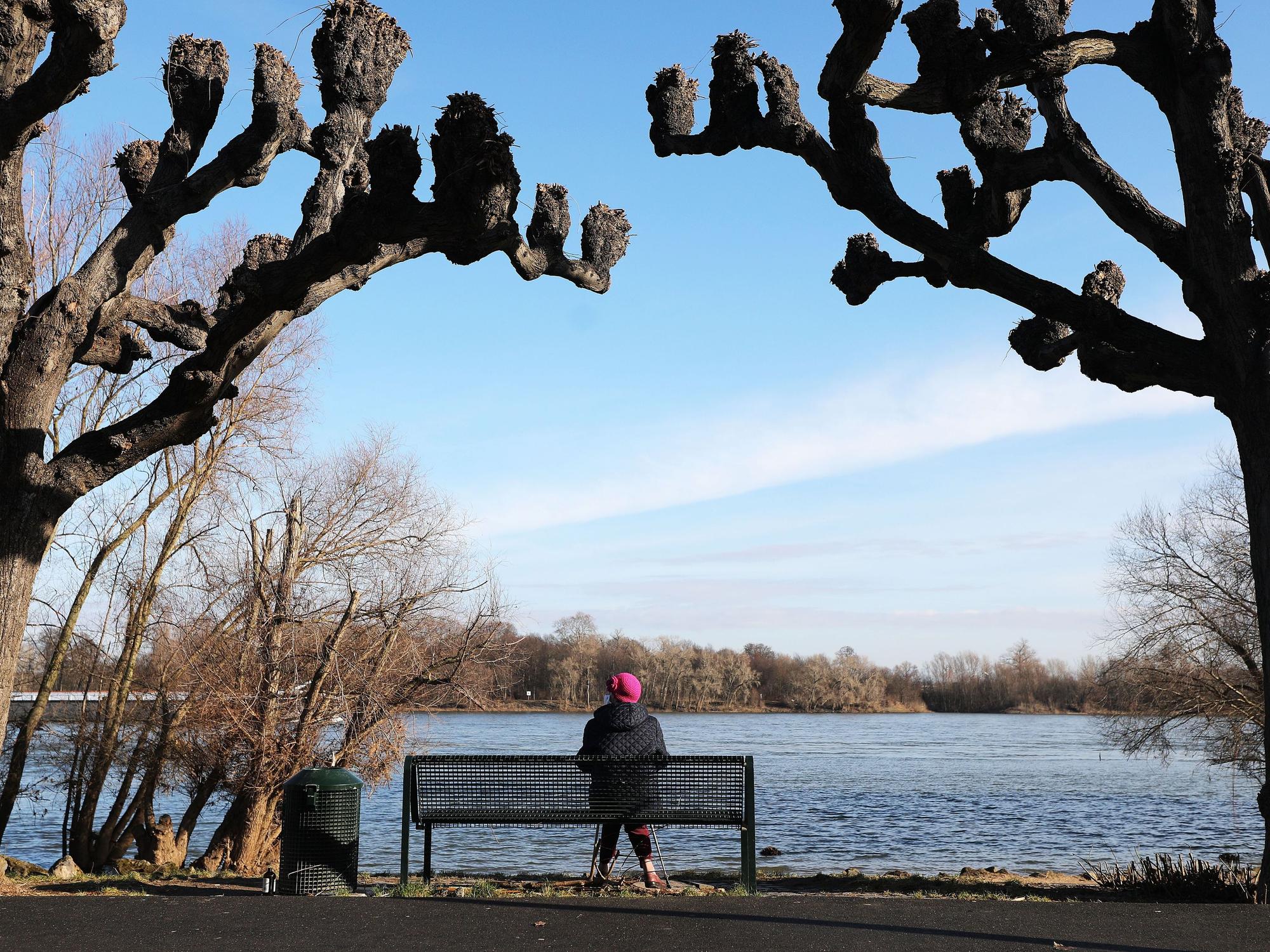 Eine Frau sitzt zwischen Platanen am Rheinufer in der Sonne.