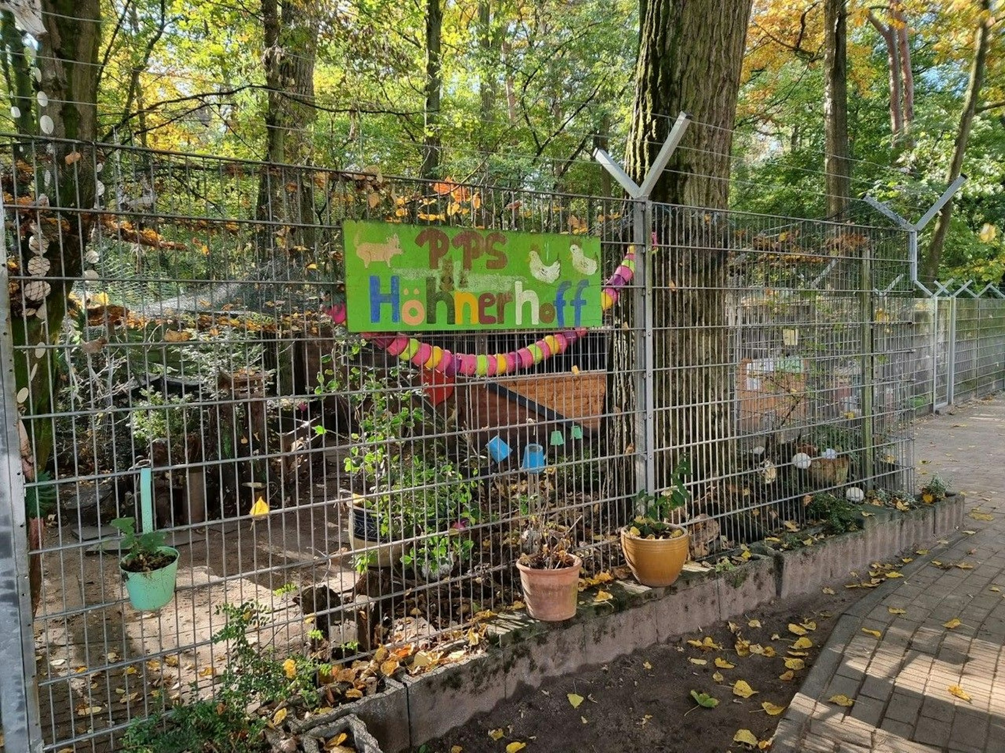 Der neu geschützte Höhnherhoff der Peter Petersen-Grundschule in Porz.