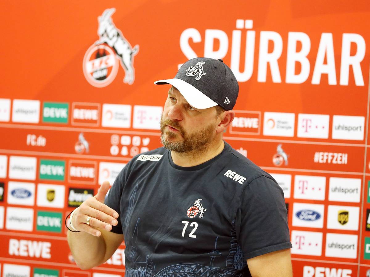 Steffen Baumgart bei einer Pressekonferenz des 1. FC Köln