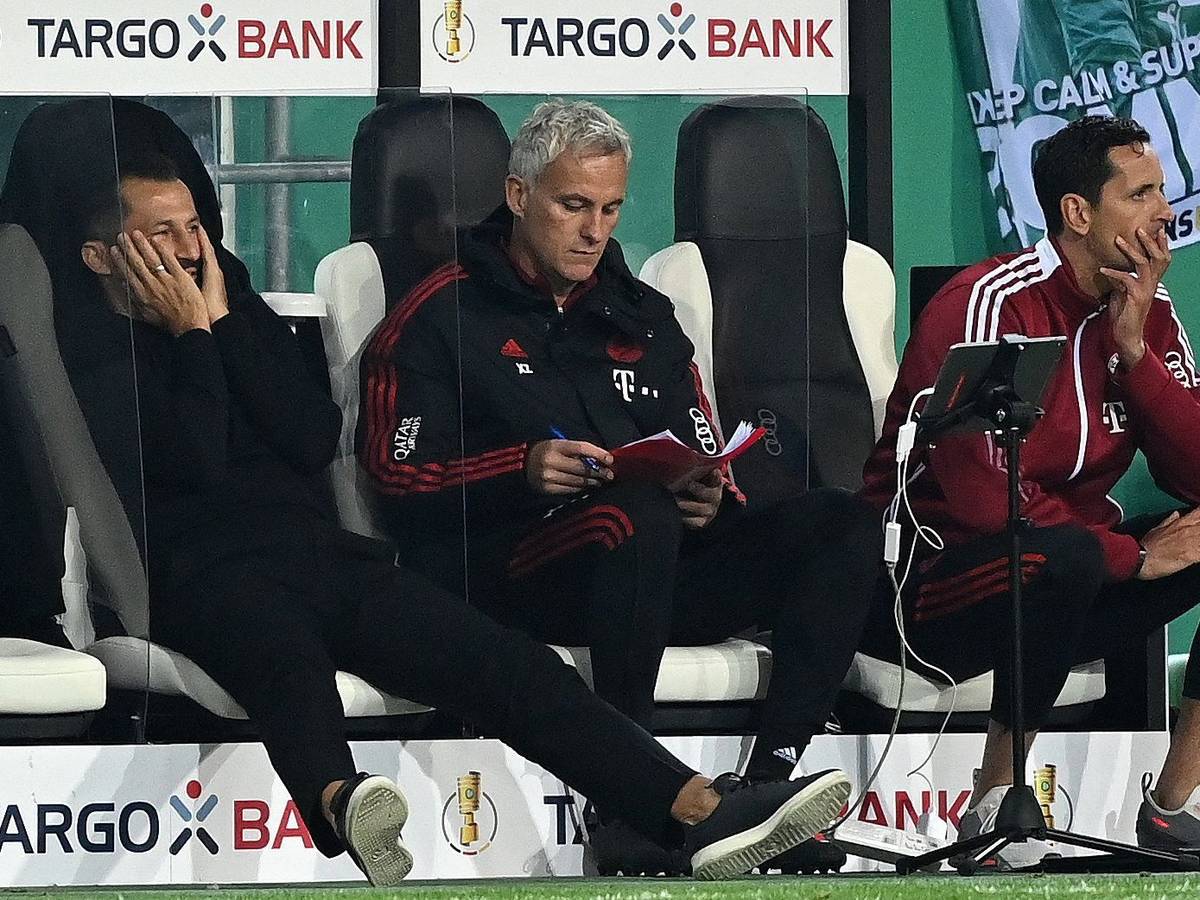 Hasan Salihamidzic und Dino Toppmöller vom FC Bayern München auf der Bank.