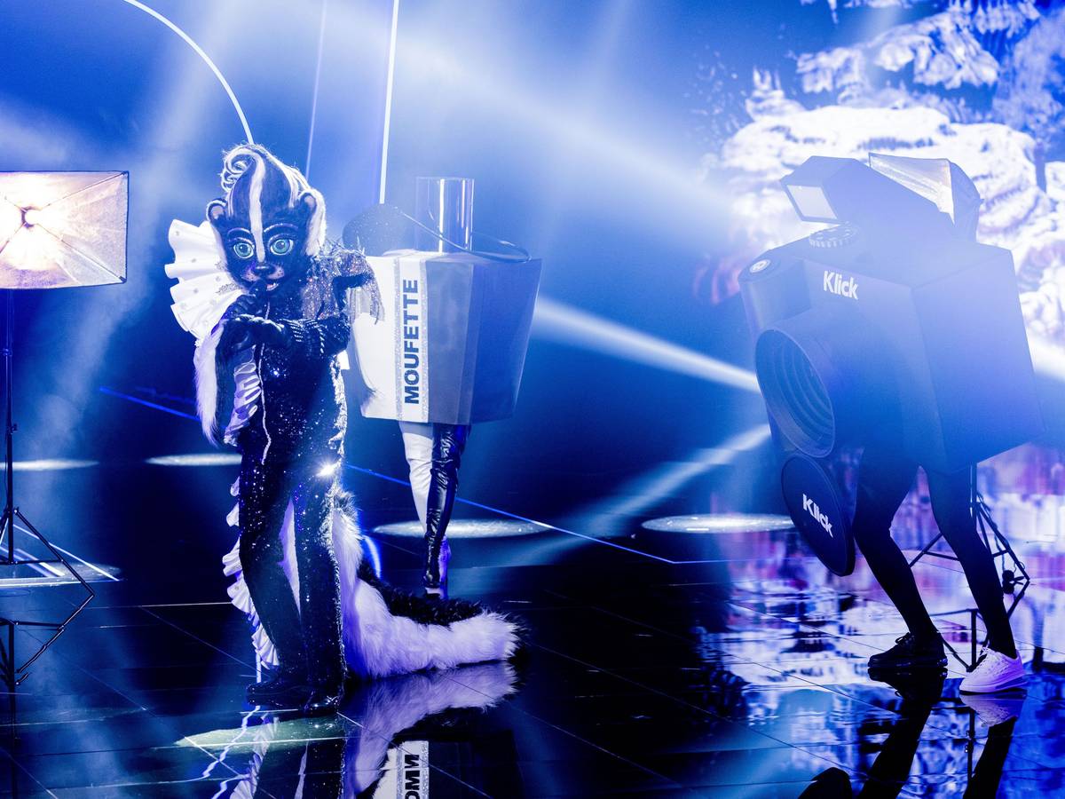 Das Stinktier steht in der „ProSieben“-Show „The Masked Singer“ auf der Bühne.