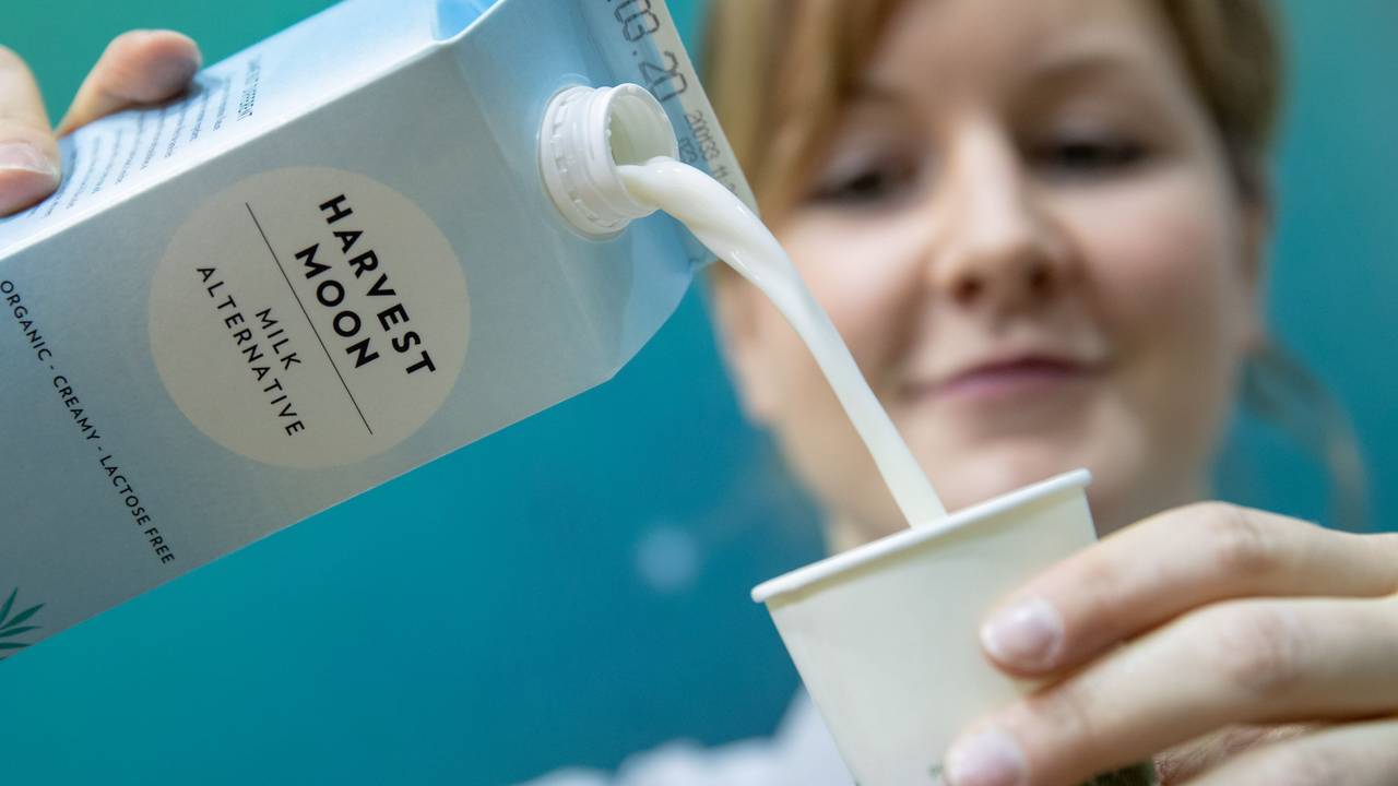 Alternative zu Milch: Hafermilch erfreut sich bei vielen großer Beliebtheit. Zumal sie laktosefrei und gut fürs Klima ist. Doch wie haben die einzelnen Produkte abgeschnitten? Unser Archivbild wurde 2020 aufgenommen.